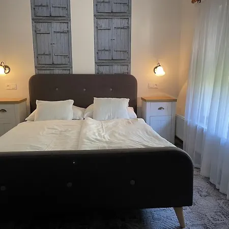 Rozmann Family Panzio & Apartmanhaz 公寓 Sárvár