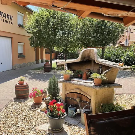 Rozmann Family Panzio & Apartmanhaz 公寓 Sárvár